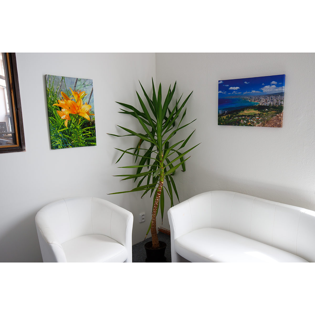 Fotoplátno 3:2 detail 1